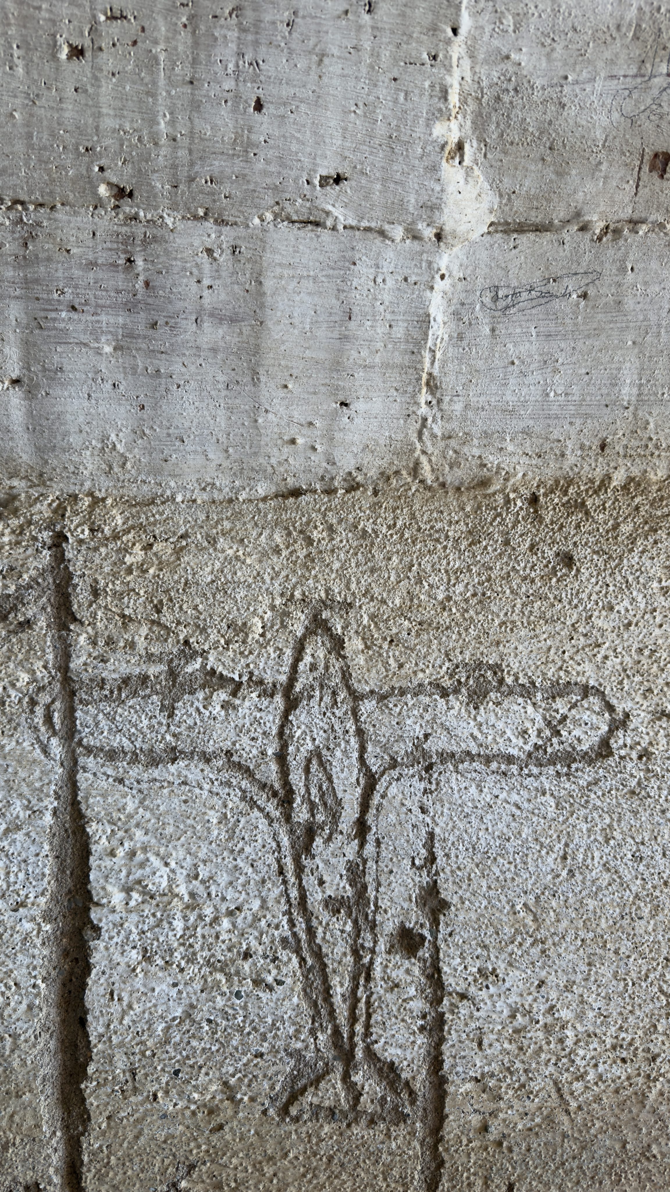 Crònica d’una ruta sota el sol, la tramuntana i la memòria